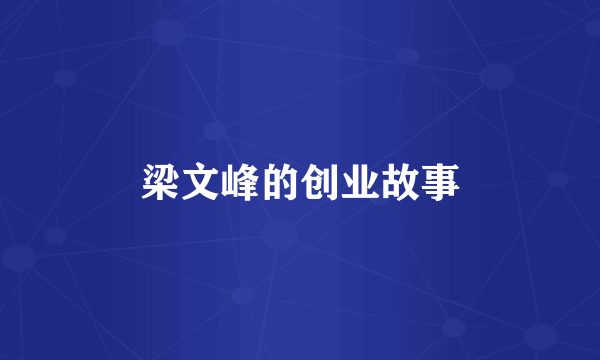 梁文峰的创业故事