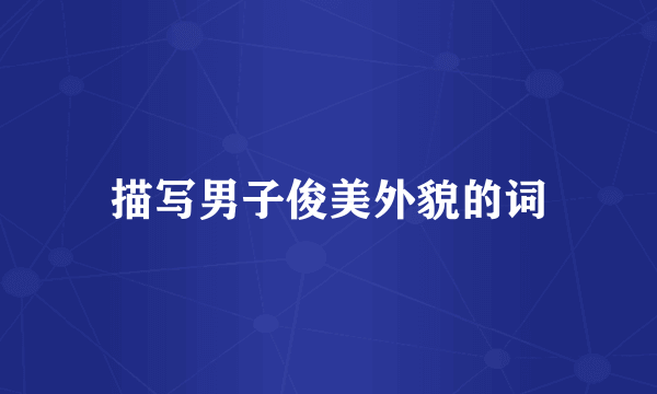 描写男子俊美外貌的词