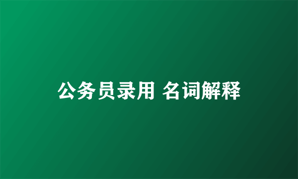 公务员录用 名词解释