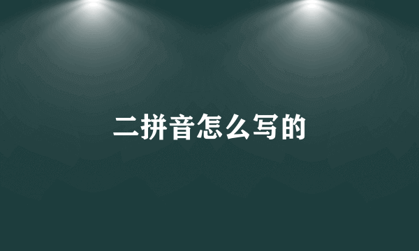 二拼音怎么写的