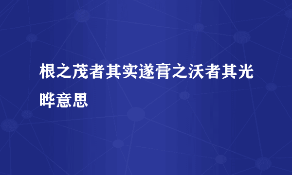 根之茂者其实遂膏之沃者其光晔意思