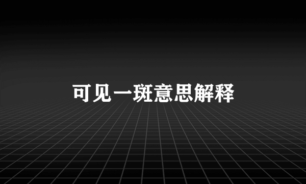 可见一斑意思解释