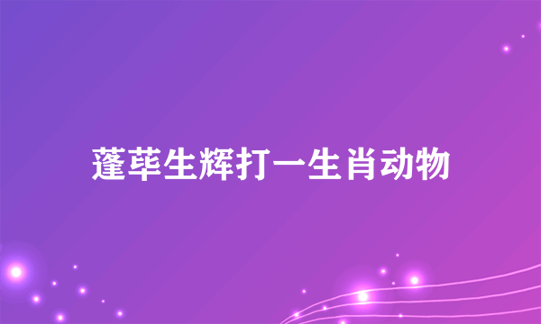 蓬荜生辉打一生肖动物