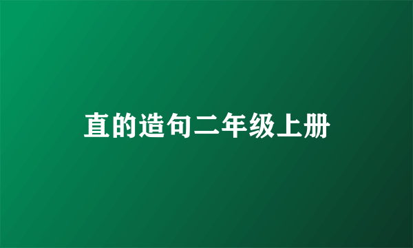 直的造句二年级上册