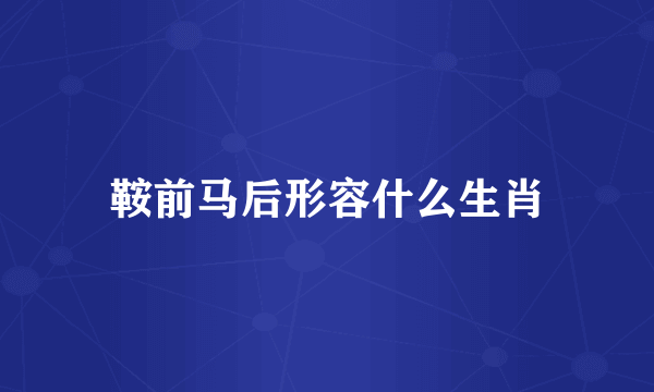 鞍前马后形容什么生肖