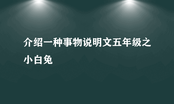 介绍一种事物说明文五年级之小白兔
