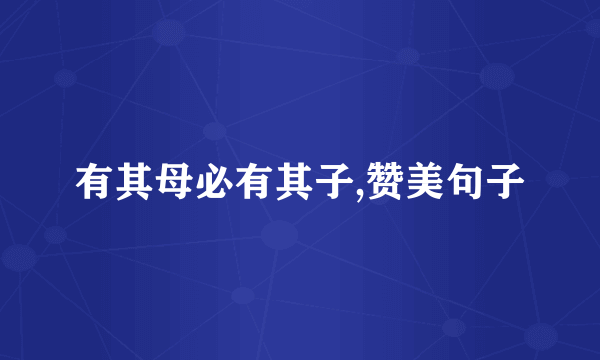 有其母必有其子,赞美句子