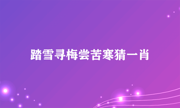 踏雪寻梅尝苦寒猜一肖