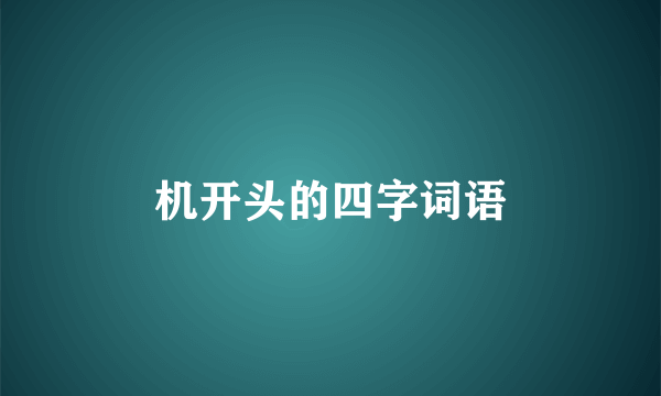 机开头的四字词语