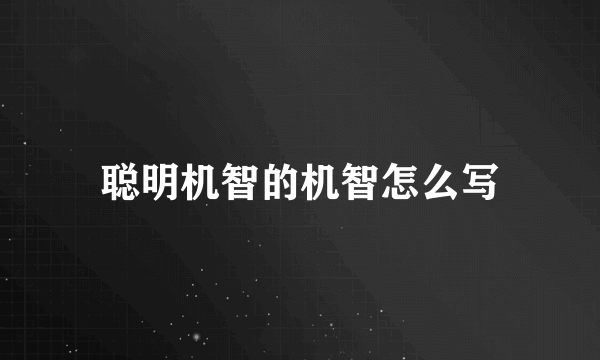 聪明机智的机智怎么写
