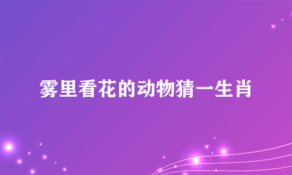 雾里看花的动物猜一生肖