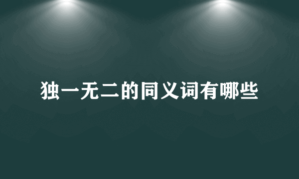独一无二的同义词有哪些