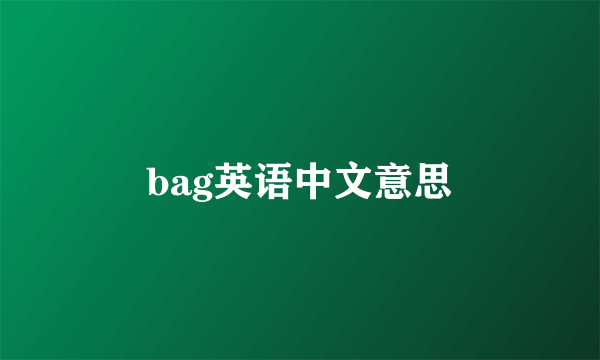 bag英语中文意思