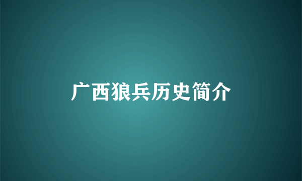 广西狼兵历史简介