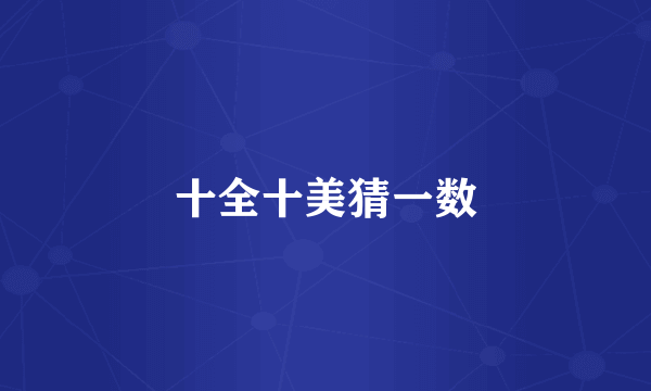 十全十美猜一数