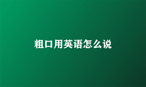 粗口用英语怎么说