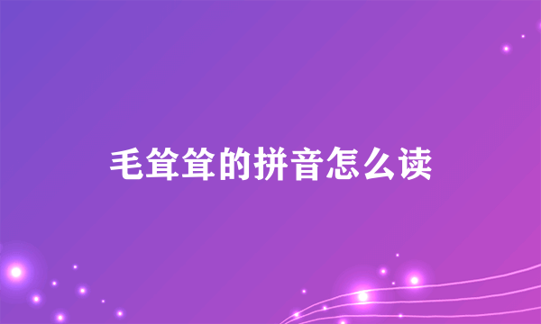 毛耸耸的拼音怎么读