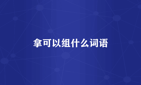 拿可以组什么词语