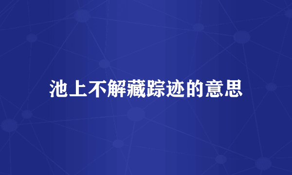 池上不解藏踪迹的意思