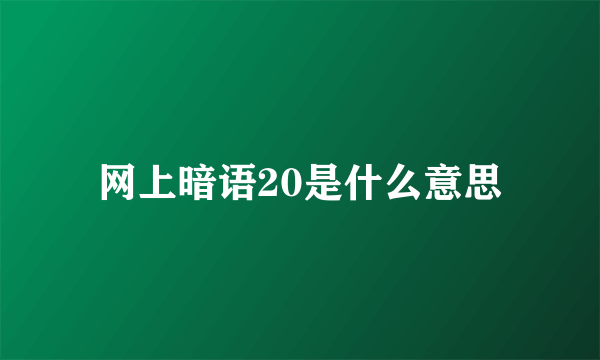 网上暗语20是什么意思