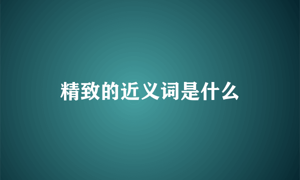 精致的近义词是什么