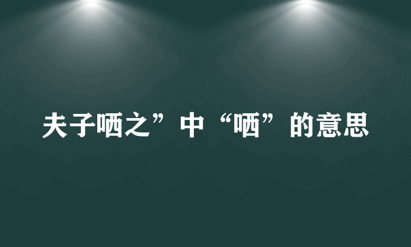 夫子哂之”中“哂”的意思
