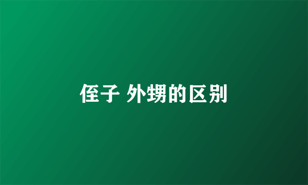 侄子 外甥的区别
