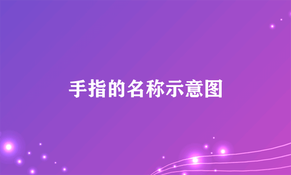手指的名称示意图