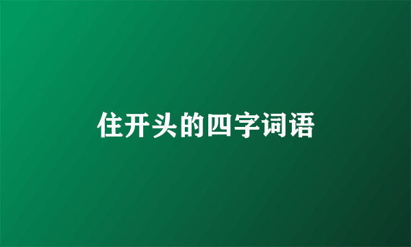 住开头的四字词语