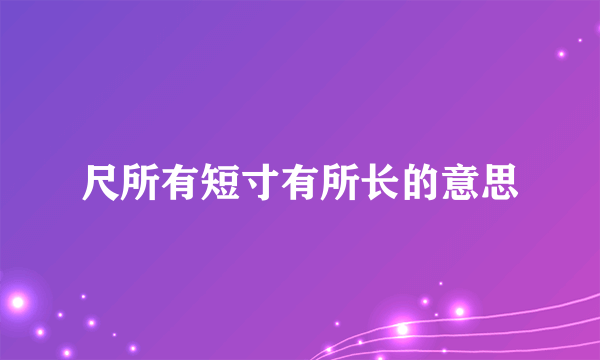 尺所有短寸有所长的意思