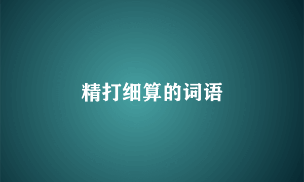 精打细算的词语
