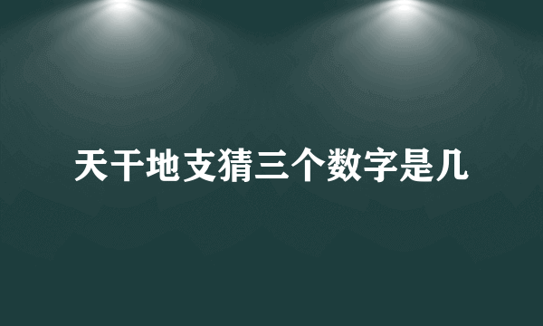 天干地支猜三个数字是几