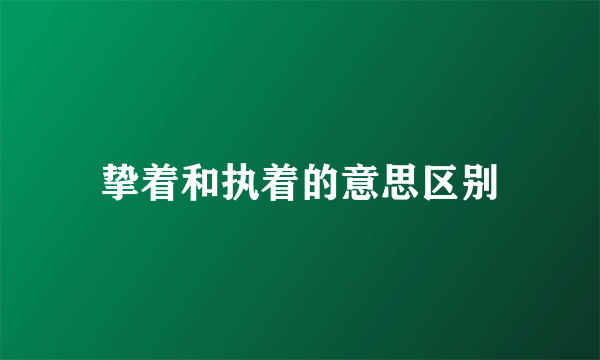 挚着和执着的意思区别