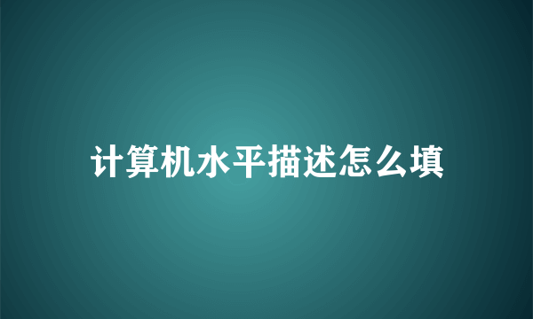 计算机水平描述怎么填
