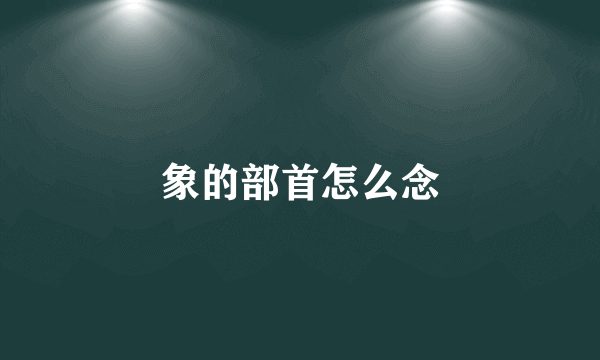 象的部首怎么念