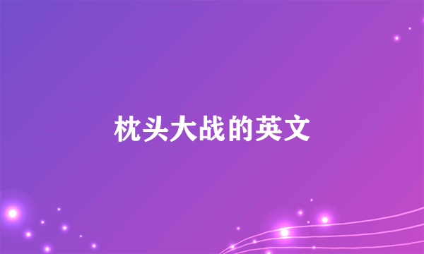 枕头大战的英文