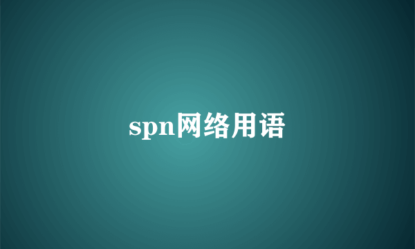 spn网络用语