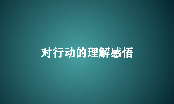 对行动的理解感悟