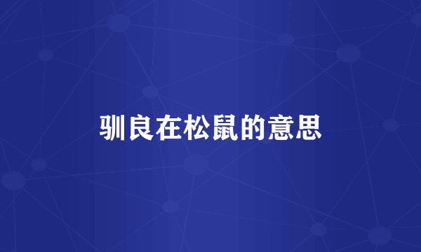 驯良在松鼠的意思