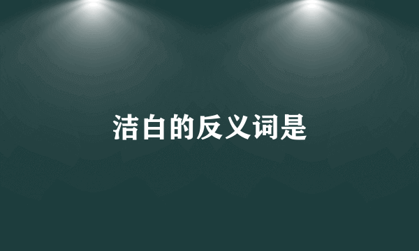 洁白的反义词是