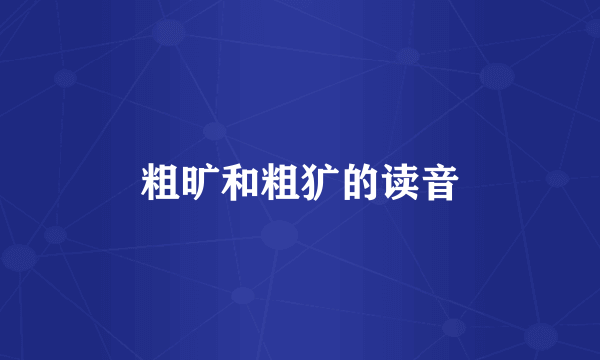粗旷和粗犷的读音
