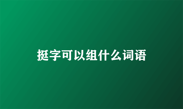 挺字可以组什么词语