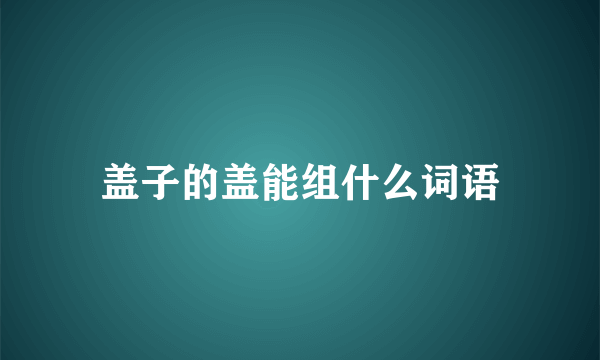 盖子的盖能组什么词语