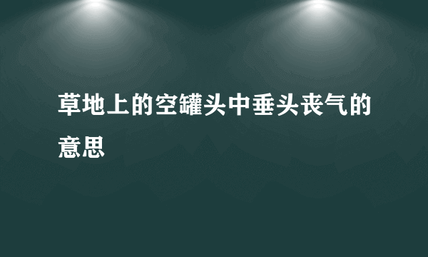 草地上的空罐头中垂头丧气的意思