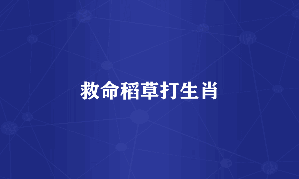 救命稻草打生肖