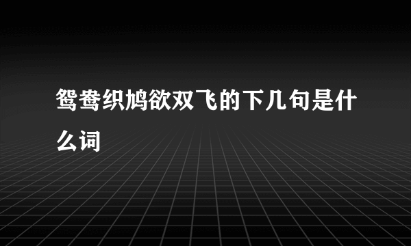 鸳鸯织鸠欲双飞的下几句是什么词