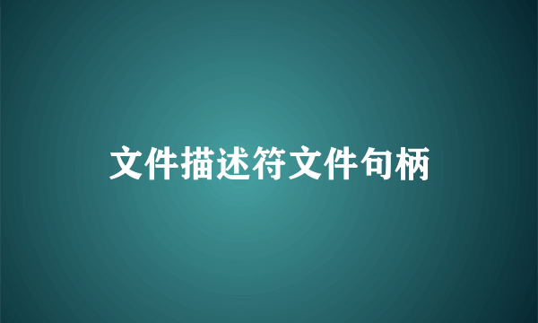 文件描述符文件句柄