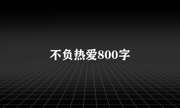不负热爱800字