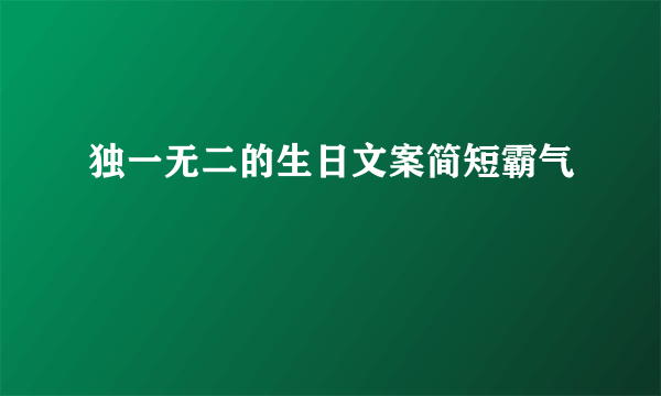 独一无二的生日文案简短霸气