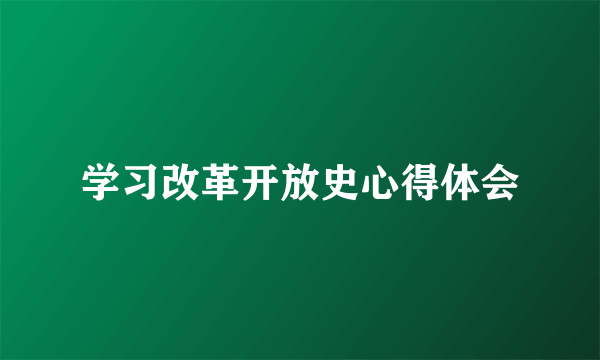 学习改革开放史心得体会